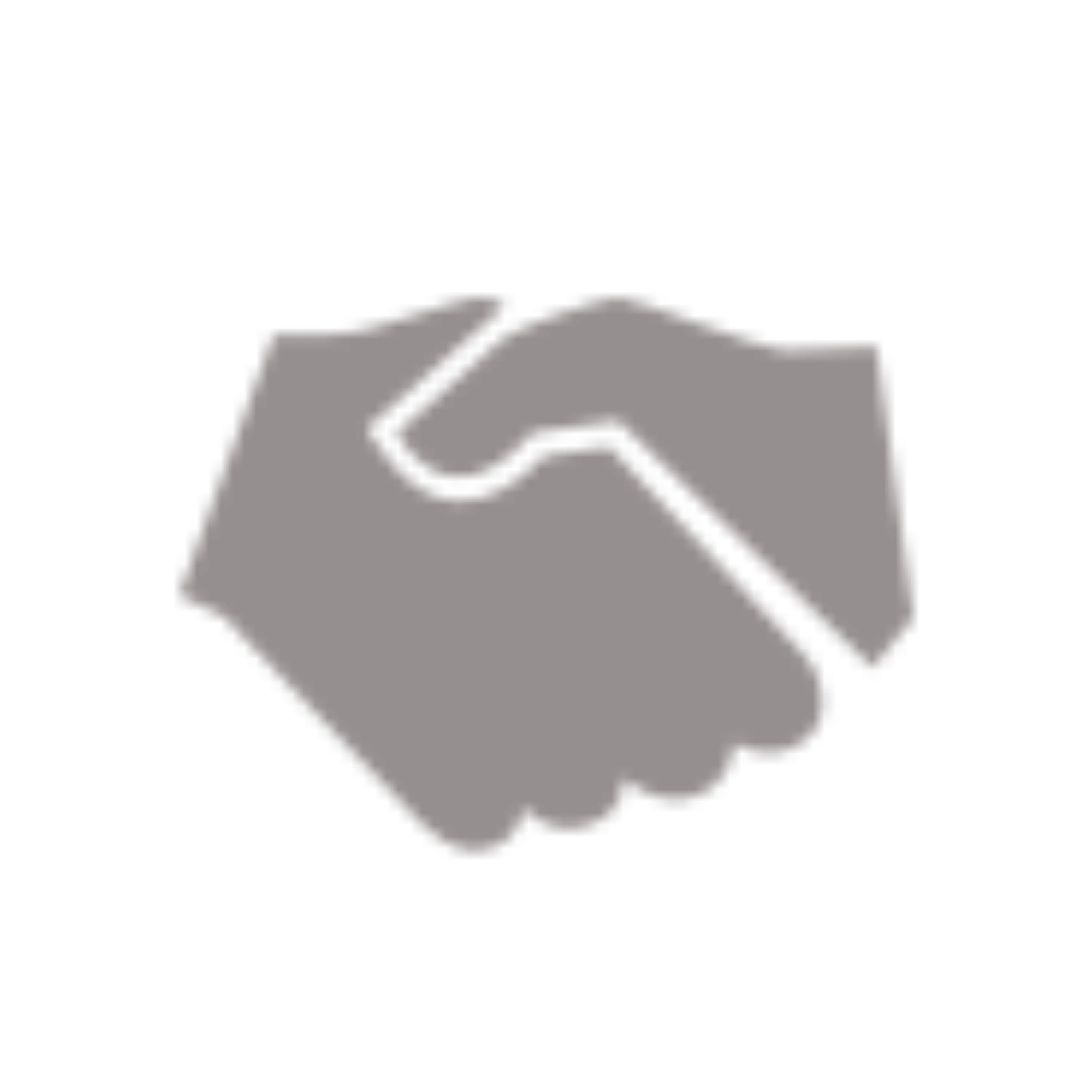 Gelişmiş iş ortakları